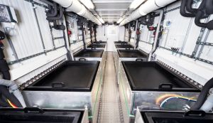 Van Amerongen Research packages