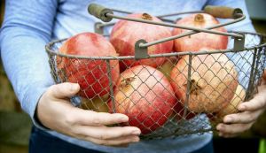 Van Amerongen Przechowywanie granatów