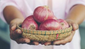 Van Amerongen Onion storage